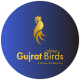 Gujrat Fancy Birds